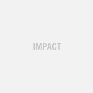 REACH CAR Analyse ICSM Novembre 2024