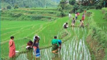 Education Needs Assessment in North Rakhine State, Myanmar