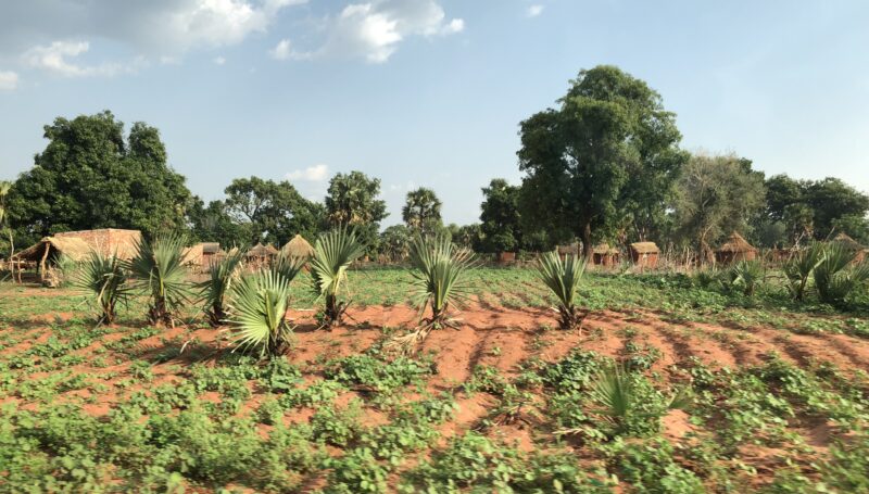 Chad: From displacement sites to host communities – Multi-sector needs assessment sheds light on the humanitarian conditions of refugees, returnees and hosts in southern Chad