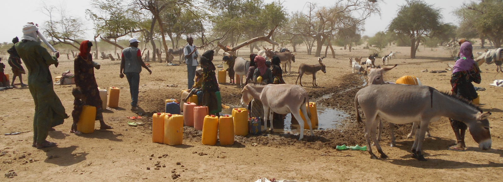 Ebeire Diffa Niger : Première évaluation Eau, Hygiène et Assainissement dans la ...