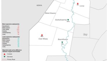 Somalia: REACH and WASH Cluster conduct Water Price Monitoring in Gedo Region