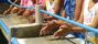 Results of a study on sanitation and hygiene in the Philippines inform large scale UNICEF project