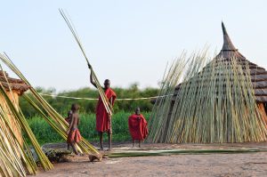 IDPs on Jonglei Island Twic East Couty Jonglei State