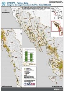 MYN_Mangrove Assessment