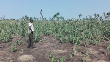 South Sudan: Enhancing Peaceful Co-existence and Resilience in Maban County