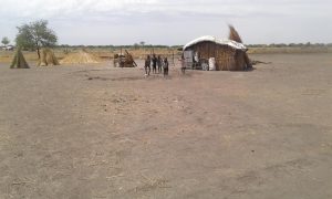 south sudan unity state
