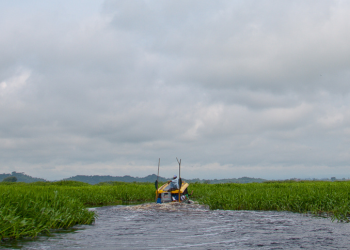 Empowering local responses: a case-study of “closing the feedback loop” in Colombia