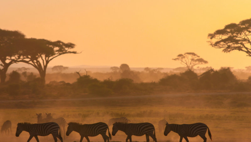 Kenya | Key Insights from the Q1 2024 Joint Market Monitoring Initiative (JMMI) Report