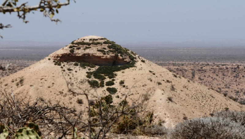 Somalia | Addressing the Public Health Crisis in Galkacyo: A Critical Overview