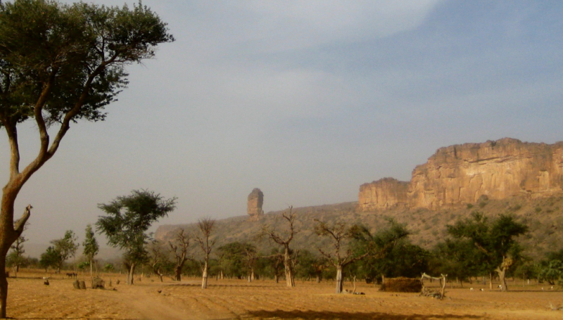 Mali | Perception des besoins et sentiment d’insécurité dans les communes de Bandiagara et Ménaka : Principaux résultats de la dernière évaluation