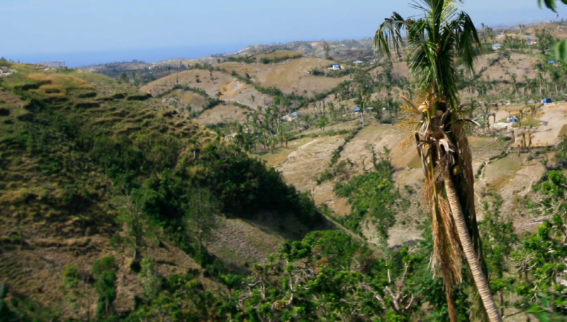 Haiti | Urgent need for sustainable response amidst increasing violence and persistent climate shocks