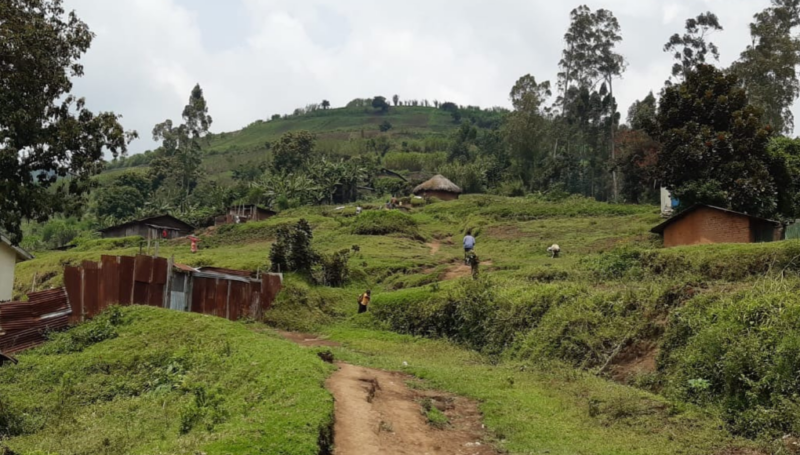 Democratic Republic of Congo Emergency Thread