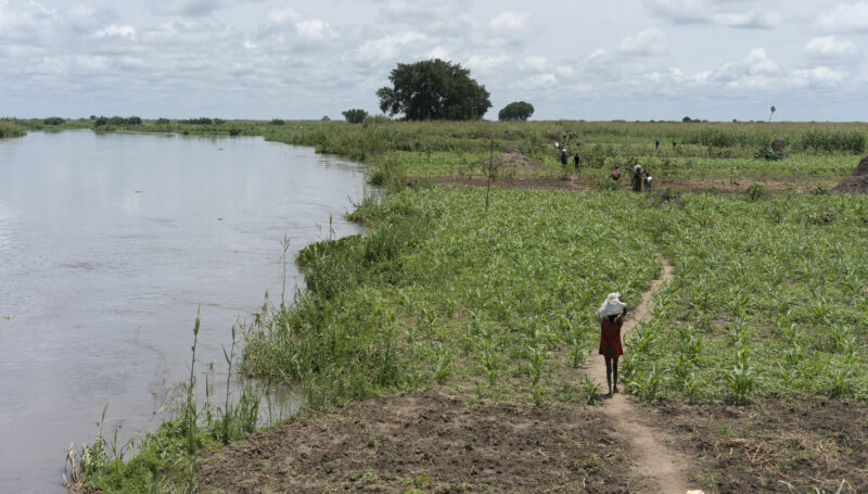 South Sudan: Unfolding public health crisis and rising humanitarian needs as Upper Nile State enter rainy season